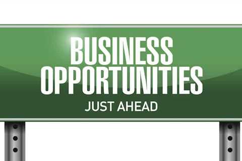 Business Opportunities to Make Money From Home