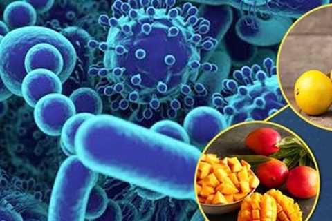 Discover the best foods to kill bacteria in the stomach including honey, turmeric, ginger,..