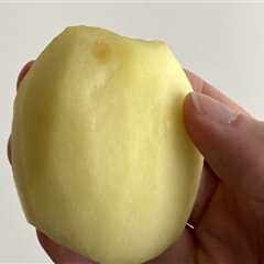 Can 2 year old eat apple with skin?