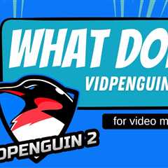 what does VidPenguin2 do for Video search engine optimization