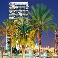 A Comprehensive Guide to Supporting Local Businesses in Orlando, Florida